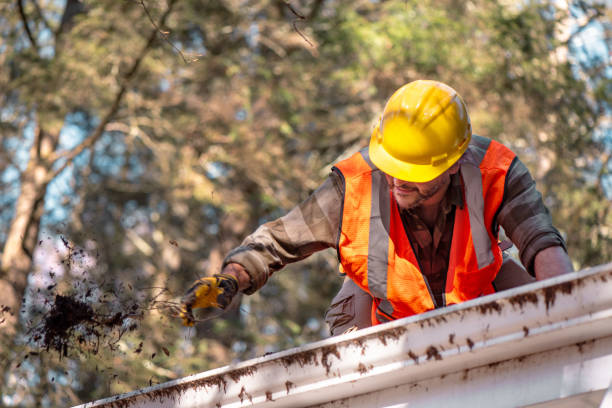How Often Should Gutters Be Cleaned?